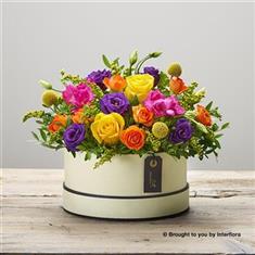 Hatbox Bright