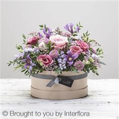 Hatbox Pastel