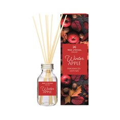 WINTER APPLE DIFFUSER